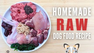 Homemade Dog Food Recipe Save Money and Keep Your Dog Healthy  Vet Approved [upl. by Kirbee]