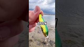 Fishing for BIG FISH with LITTLE LURES 🐟🎣 fishing fish salmon [upl. by Raeann]