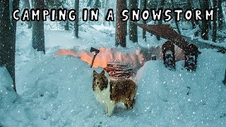 Winter Camping in a Snowstorm with My Dog [upl. by Lindon]