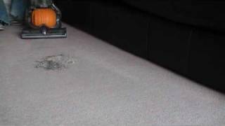 Dyson Ball DC24 Multi Floor  Surface Litter Demo [upl. by Yesor]