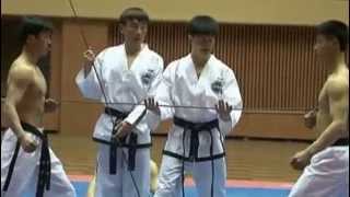 Niesamowity pokaz sztuki walki Taekwondo [upl. by Tabby]