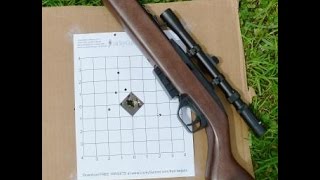 Crosman 1077 Wooden Stock Model Review [upl. by Bryon]