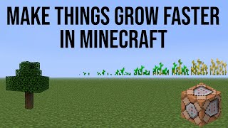 Grow Things Faster in Minecraft using Commands 116 [upl. by Malet]