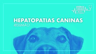 Hepatopatias Caninas  Resumão [upl. by Jarvey]