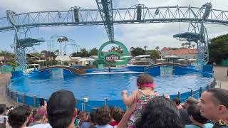 Dolphin Adventures  Full Show Summer 2024  SeaWorld San Diego [upl. by Latham]