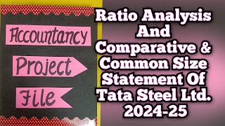 Ratio Analysis and Comparative amp Common Size Statement Of Tata Steel Ltd 202425 Class12th [upl. by Nahtnahoj]