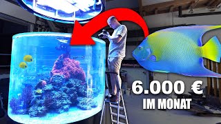 30000 Liter  Deutschlands größte KORALLENZUCHT Mach das NICHT so in deinem Aquarium [upl. by Asenad]