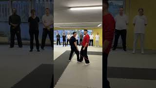 Wing Tsun Leung Ting System [upl. by Nylesoy799]