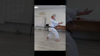 Jiin Kata Performed by Colin Holmes shorts [upl. by Jefferey]