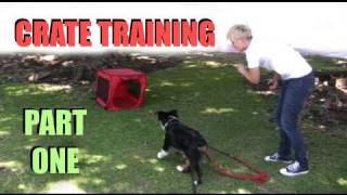 Crate Training Part 1 Dog Training [upl. by Noyar556]