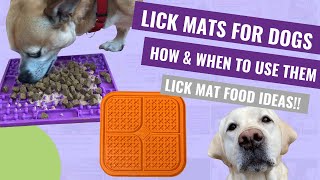 Lick Mat for Dogs How and When to Use a Lick Mat [upl. by Samuele616]