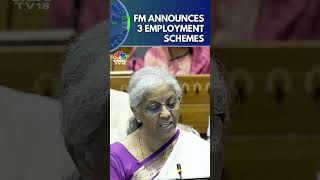 Govt Announces 3 EmploymentLinked Incentive Schemes Based On EPFO Enrolment  Budget 2024  N18S [upl. by Kanya402]