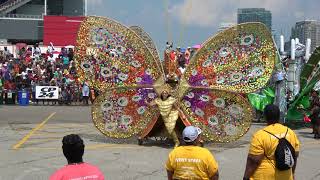 Toronto Revellers  Toronto Caribbean Carnival aka Caribana  Grand Parade 2018 [upl. by Ynagoham]