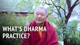 What is Dharma Practice  Ringu Tulku [upl. by Thessa]