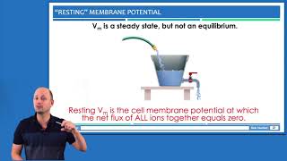 Membrane Potential Goldman Hodgkin Katz Equation [upl. by Anidan]