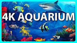 The Best 4K Aquarium for Relaxation 🐠 Relaxing Oceanscapes  Sleep Meditation 4K UHD Screensaver [upl. by Waldo]