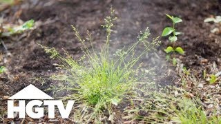 Way to Grow Which Natural Weed Killers Actually Work  HGTV [upl. by Eiuqram]