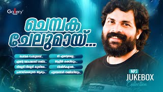 ചെമ്പക ചേലുമായ് Chembachelumay  Shafi Kollam Hit Songs  Jukebox Gallery [upl. by Hausner243]