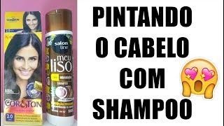 COMO PINTAR O CABELO USANDO SHAMPOO  ATUALIZADO [upl. by Amary]