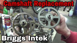 Troubleshoot amp Replace Camshaft On Briggs amp Stratton Intek Engine [upl. by Stevie484]