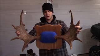 How To Mount Antlers Part 2 [upl. by Harley]