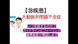 ⑱疾患～大動脈弁閉鎖不全症いつ手術かなどガイドラインとフィーリングを循環器内科医が解説します [upl. by Siladnerb]