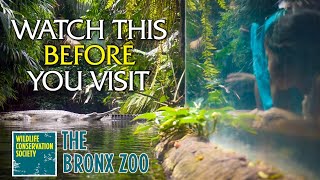 Watch This Before You Visit the Bronx Zoo [upl. by Bergman172]