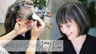 How to add dimension back into Natural Gray Hair Color  Transition to Gray Hair Naturally [upl. by Ahsia]