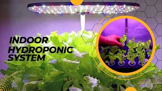 Smart Indoor Hydroponics System  LetPot Automated Hydroponic Farming At home [upl. by Ciri]