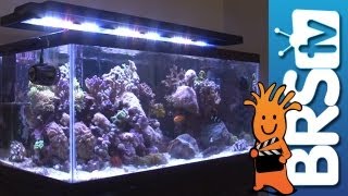 LED Lighting For Aquariums  EP 3 Aquarium Lighting [upl. by Bradan213]