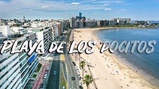 BEST BEACH IN MONTEVIDEO URUGUAY 4K  Playa de Los Pocitos [upl. by Moonier]