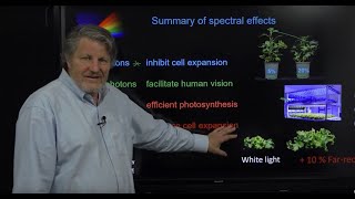 Overview of Spectrum Effects on Cannabis Production [upl. by Baram852]