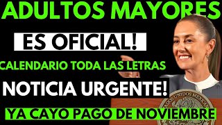 ✅ Pensión Bienestar Todo lo que Debes Saber del Pago de NoviembreDiciembre para Adultos Mayores [upl. by Kamp953]