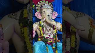 Begum Bazar Ganesh 2024 shorts youtubeshorts ganeshfestival ganeshchaturthi ganeshutsav vlog [upl. by Asenav338]