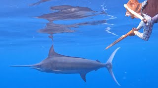 Spearfishing For Giant Tuna and Marlin Catch Clean Cook Feeding the Village [upl. by Karoline]