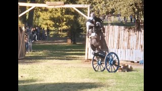 CCI  Pau 2019 Horse trials  Best falls and refusals  cross country day [upl. by Eniamrahc]