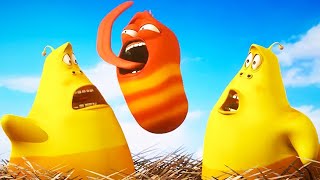 LARVA  DOUBLE TROUBLE  2019 Cartoon  Cartoons For Children  WildBrain Cartoons [upl. by Naellij]