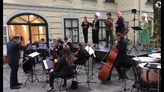 Liebe die Erde WELTTAG DER UMWELT Outdoor Konzert Vienna [upl. by Bloem]