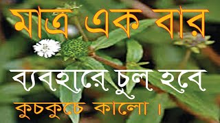 chul kalo korar upay bangla  চুল কালো করার প্রাকৃতিক উপায়  chul kalo korar ghoroa upay  keshraj [upl. by Mixie]