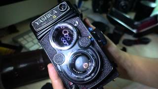 Minty Yashica Mat124 G Twin Lens Reflex [upl. by Kcirdehs]