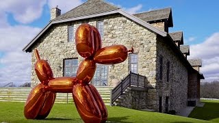 Jeff Koons on Balloon Dog Orange [upl. by Allenaj]