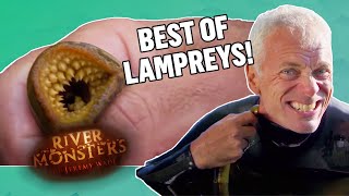 The BEST OF LAMPREYS  COMPILATION  River Monsters [upl. by Idolah701]