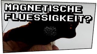 Magnetische Flüssigkeit Ferrofluid  Heimexperimente 08 [upl. by Vasilek]