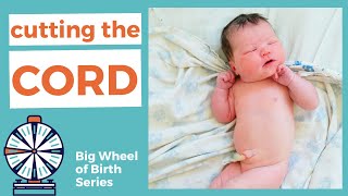 How and When to CUT the Umbilical Cord [upl. by Blinnie]