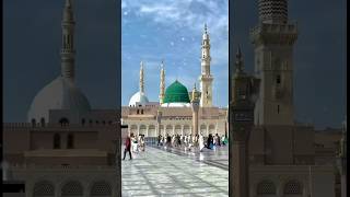 Beautiful Islamic Status islamicstatus love islamicvideo shortsvideo [upl. by Balfour]