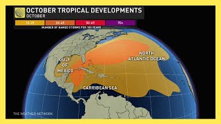 How the Rest of the Tropical Storm Season Is Likely to Play Out  forecast [upl. by Gide863]