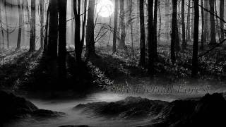 Emotional Dark Music  The Eternal Forest [upl. by Demha]