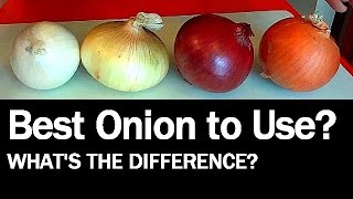 Onions  Whats the Difference [upl. by Anura]