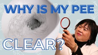 Why Is My Urine Clear [upl. by Clive759]