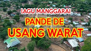 Usang Warat LaguManggarai Sius Magung ntt bencanattt usangwarat pandedeusangwarat banjirntt [upl. by Ahseuqram]